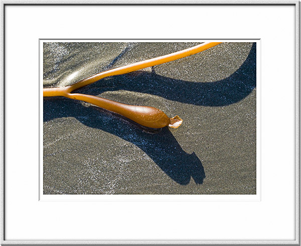 Image ID: 100-154-1 : Sand, seaweed, shadow 